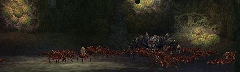 Spider Baroness
