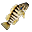 Eastern Perch