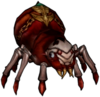 Baby Spider